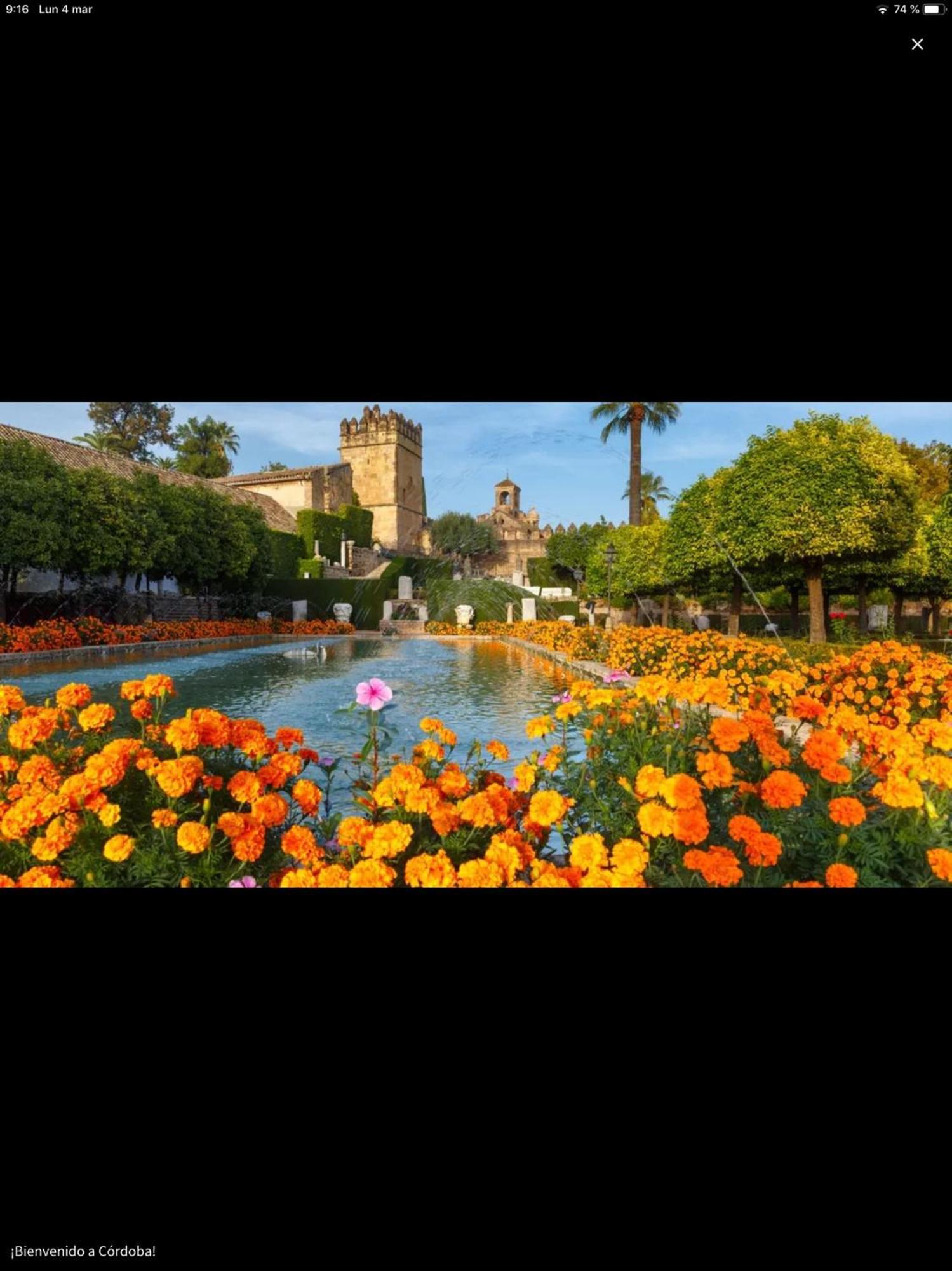 Centro Historico Mezquita Juderia La Preferida Apartment Cordoba Ngoại thất bức ảnh