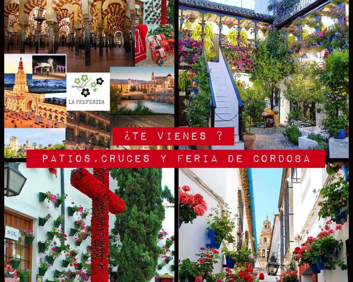 Centro Historico Mezquita Juderia La Preferida Apartment Cordoba Ngoại thất bức ảnh